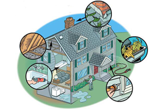 Mold Inspection