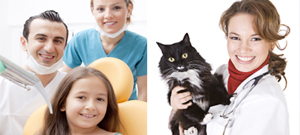 Dental, Veterinary Training Programs