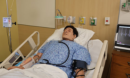 Nursing