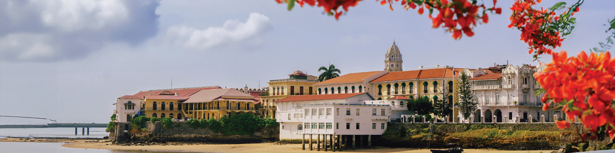 Banner for British Isles