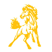 Lynchburg-Clay High School Logo